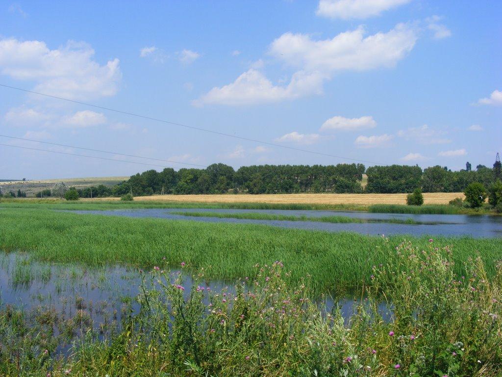 Примощаниця з panoramio.com - Prymoschanytsya