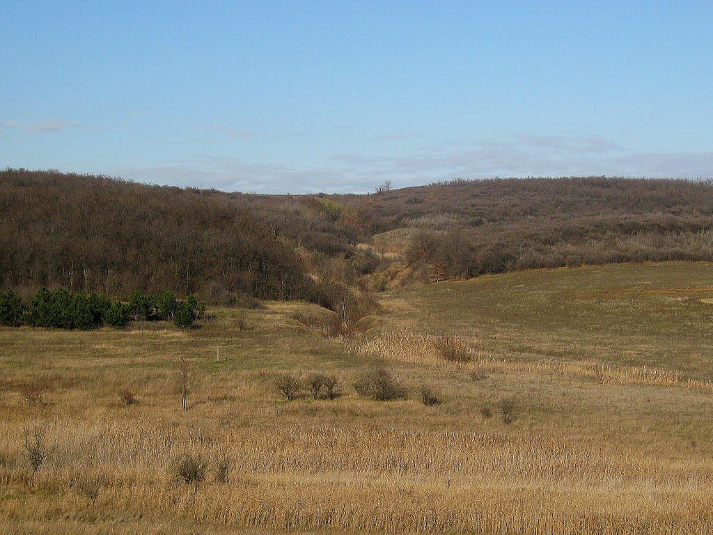 Новобахмутівка з panoramio.com - Новобахмутівка