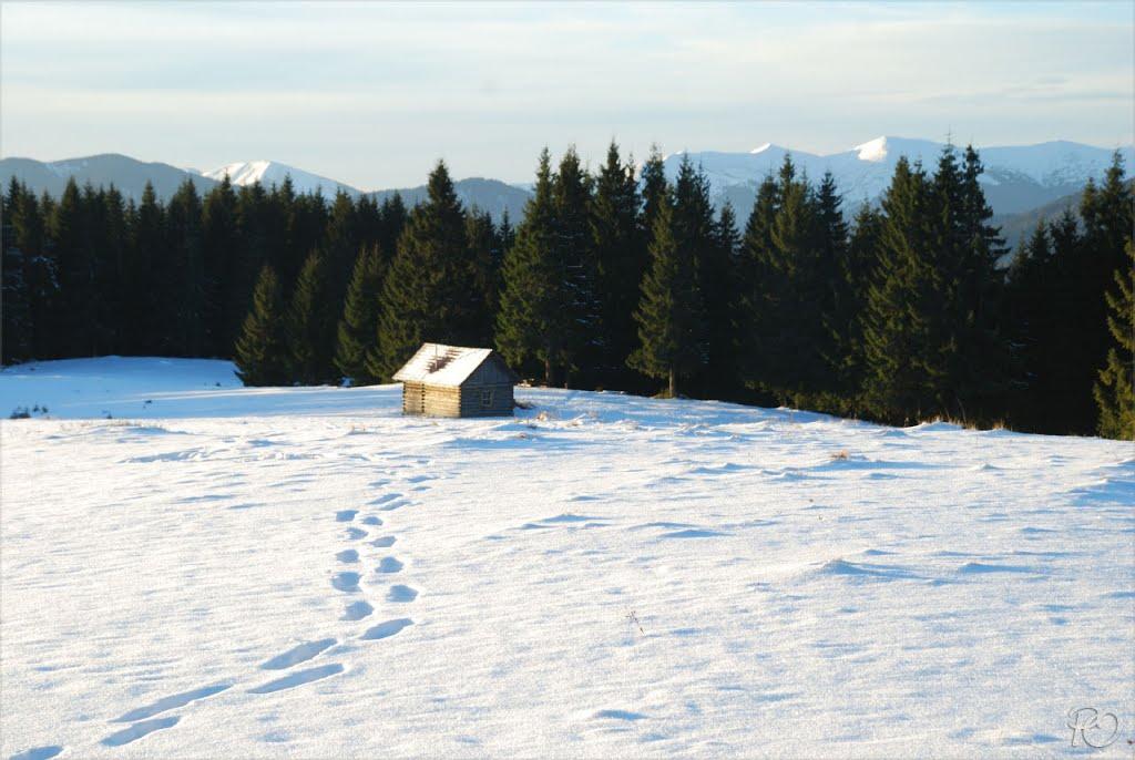 Береги з panoramio.com - Береги