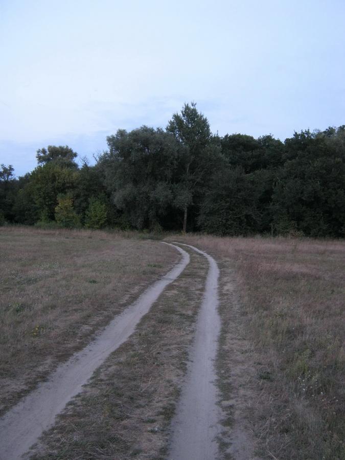 Велика Чернеччина з panoramio.com - Велика Чернеччина