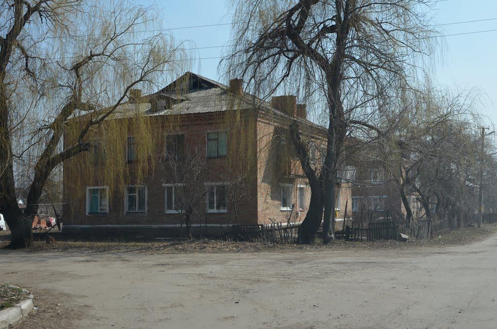 Родниківка з panoramio.com - Родниківка