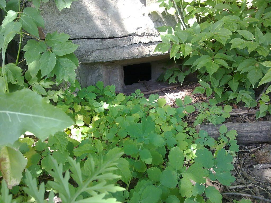 Ракшівка з panoramio.com - Ракшивка