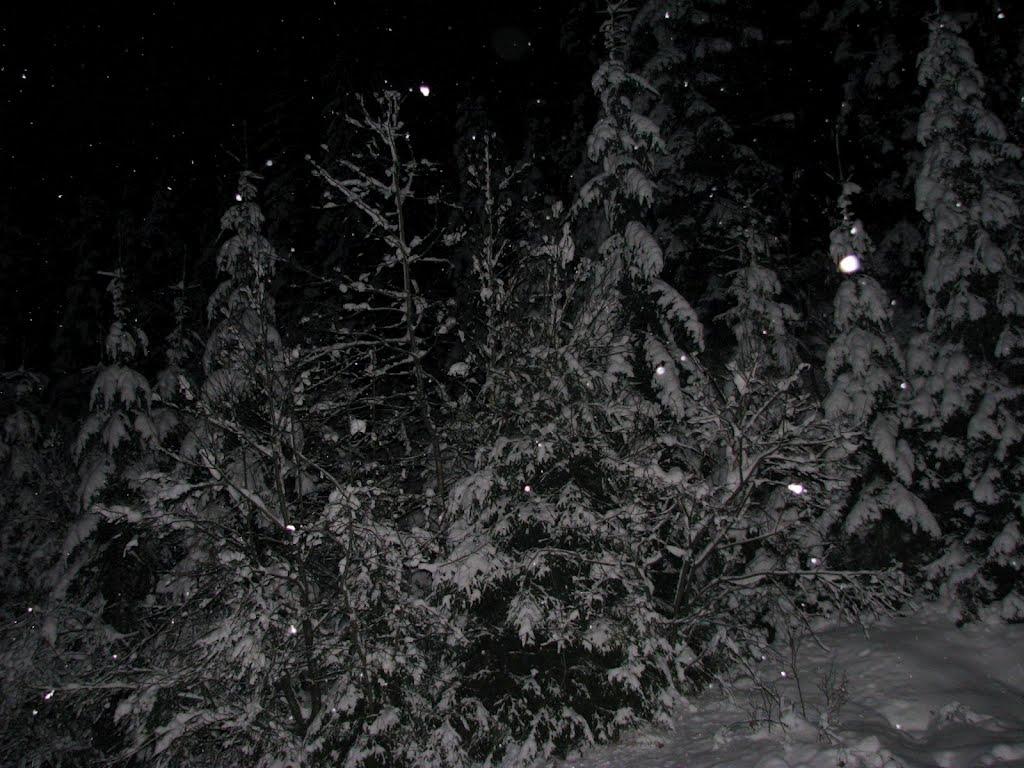 Коростів з panoramio.com - Коростів