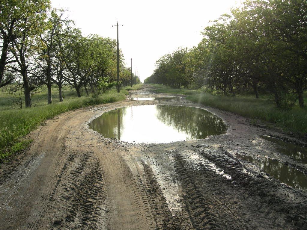 Галицинове з panoramio.com - Галициново