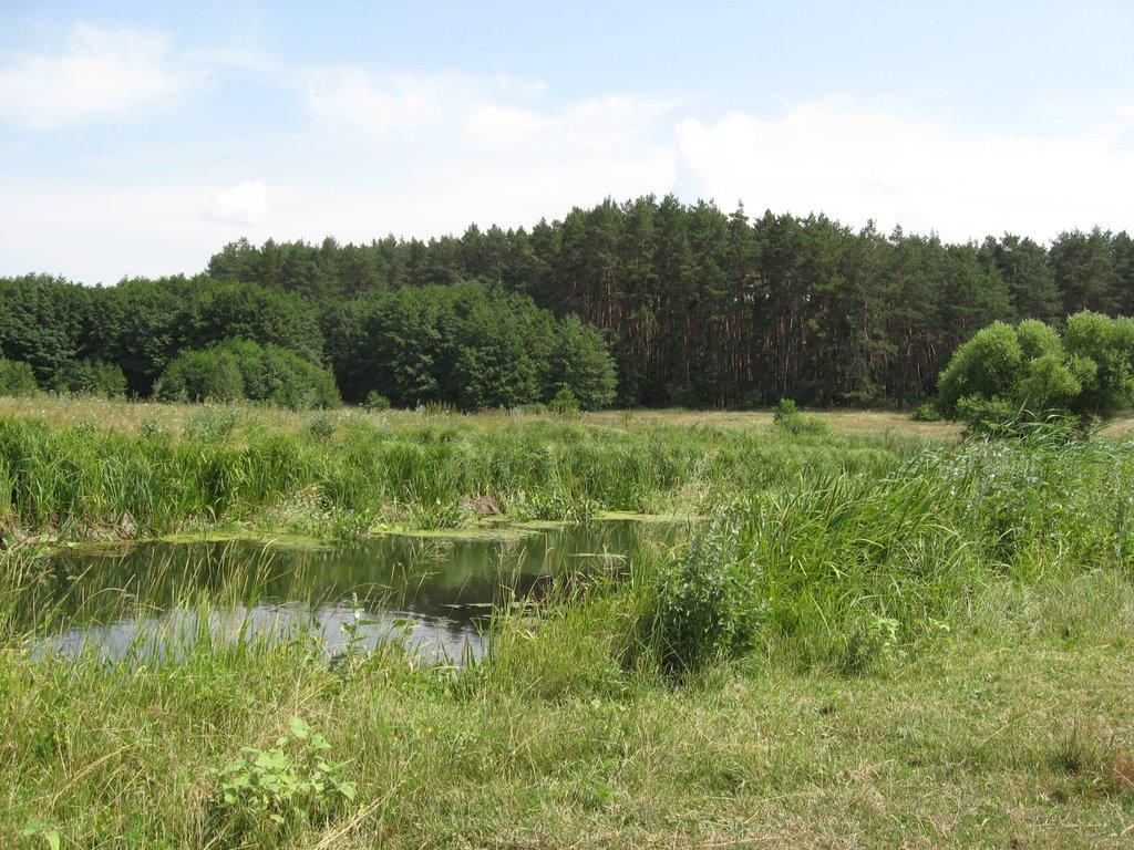 Мохнач з panoramio.com - Мохнач