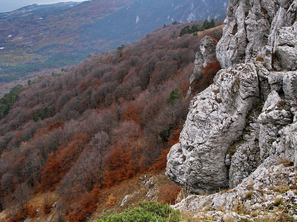 Совєтське з panoramio.com (ч.2) - Советское