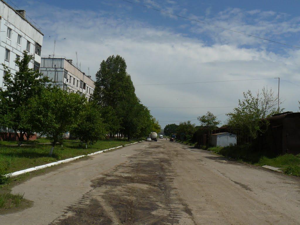 Степногірськ з panoramio.com - Stepnogirsk