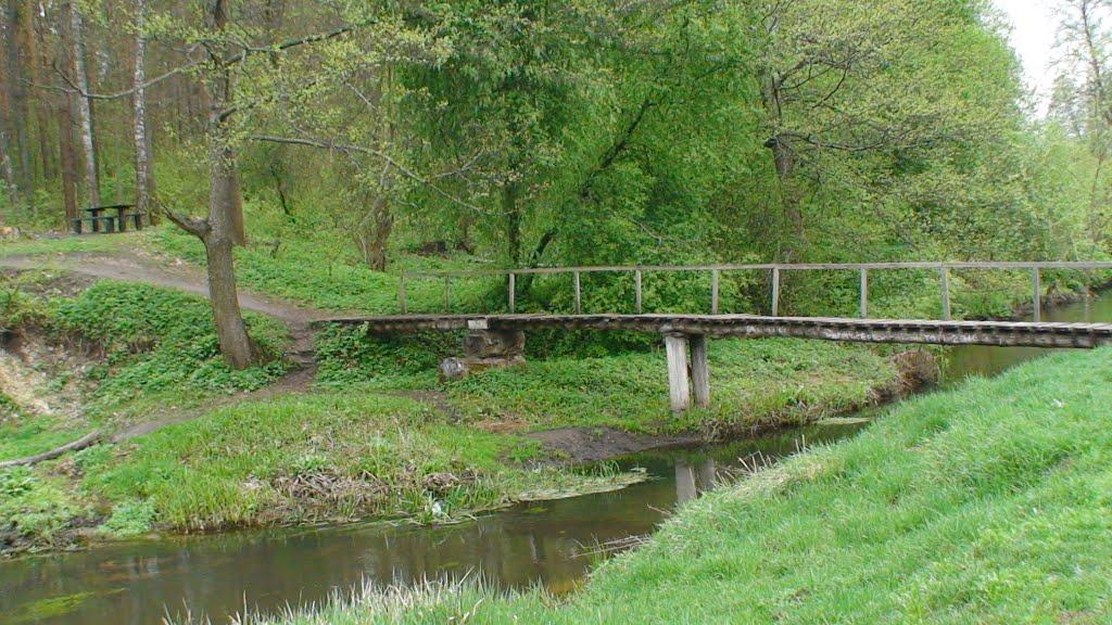 Пиротчине з panoramio.com - Пиротчине