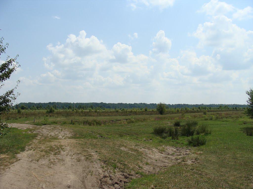 Тиховиж з panoramio.com - Тиховиж