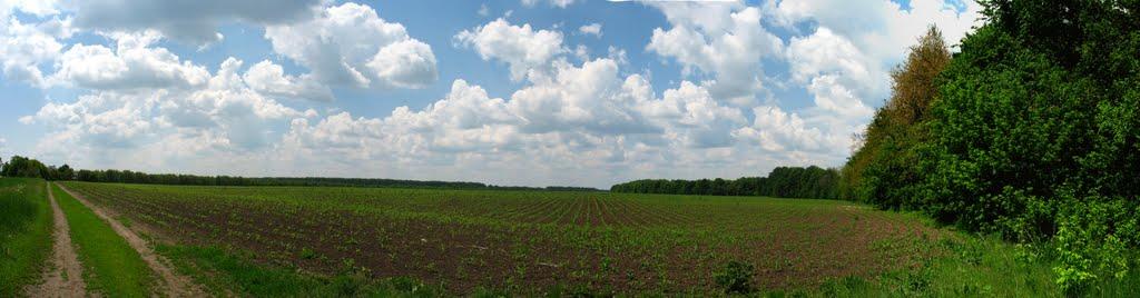 Соколівка з panoramio.com - Соколовка