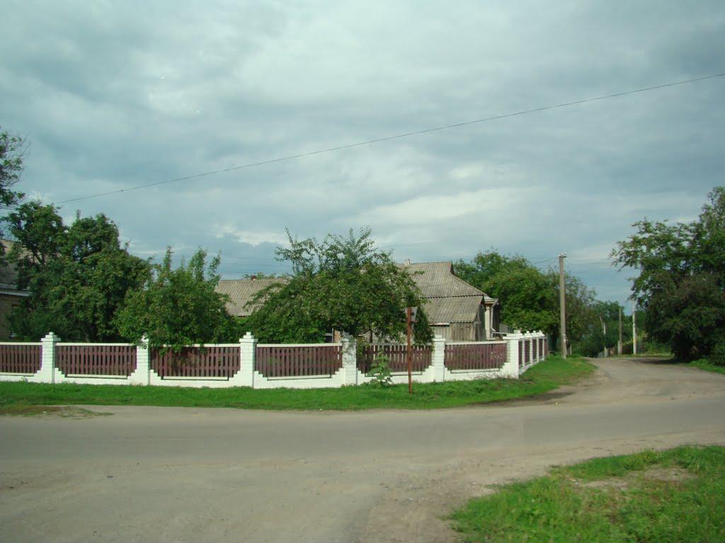 Кам'янка з panoramio.com - Каменка