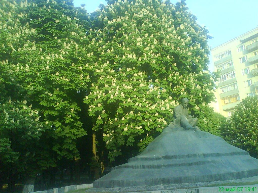Ромни з panoramio.com - Romny