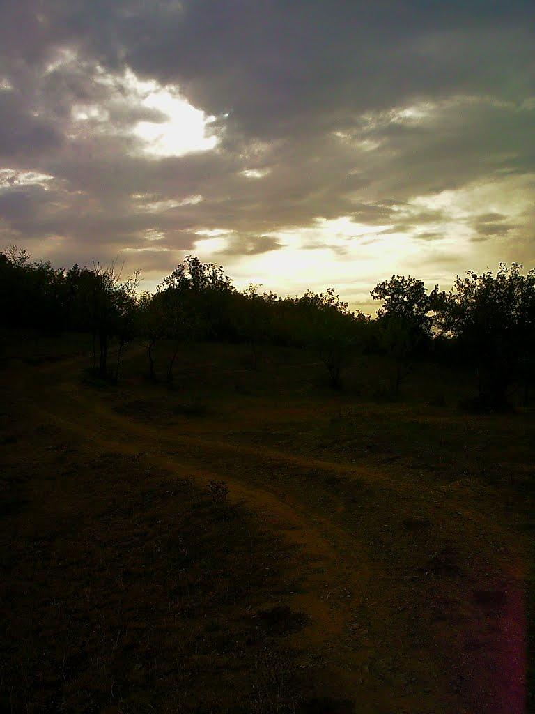 Плотинне з panoramio.com - Плотинне