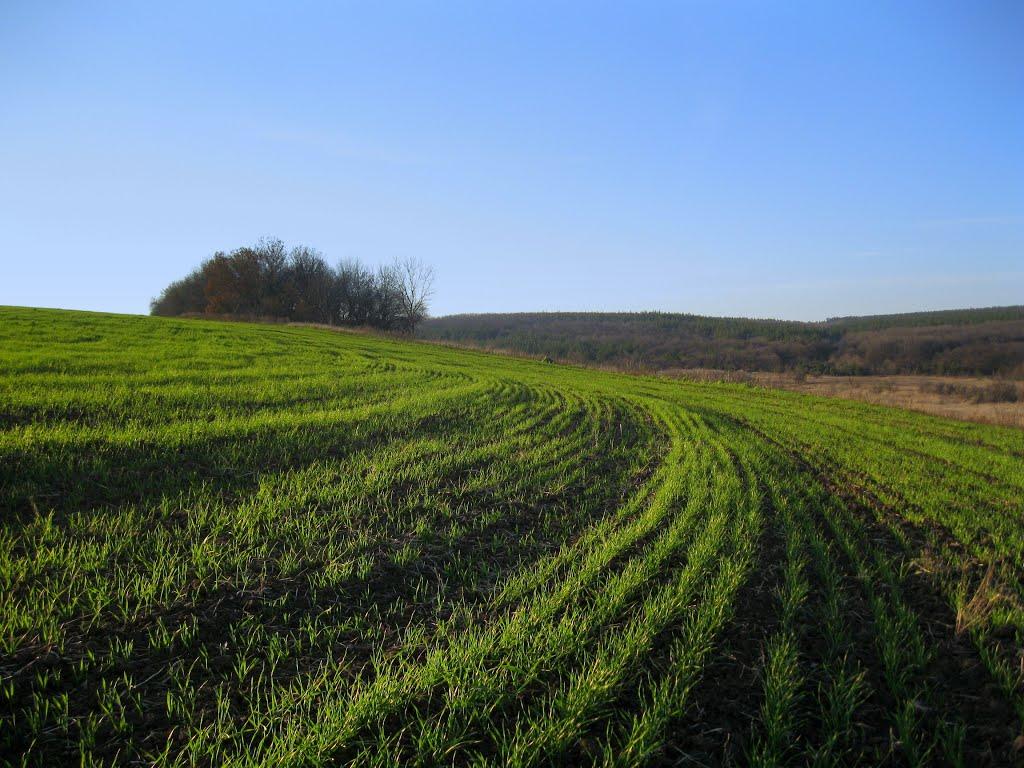 Новобахмутівка з panoramio.com - Новобахмутівка