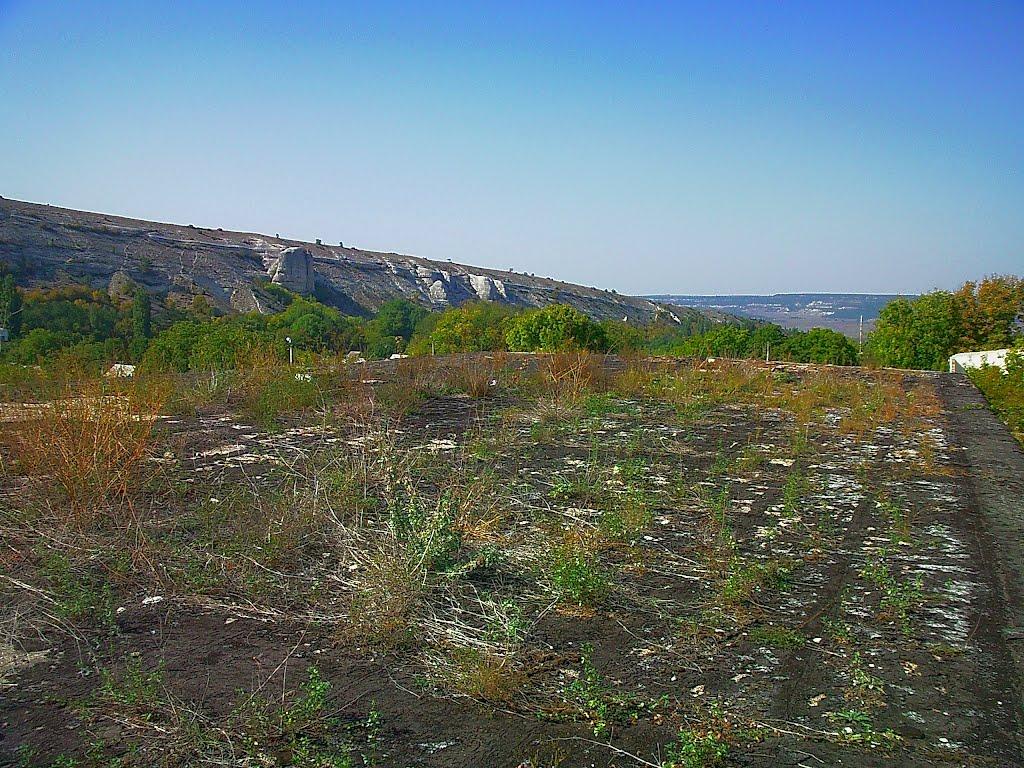 Красний Мак з panoramio.com - Красный Мак