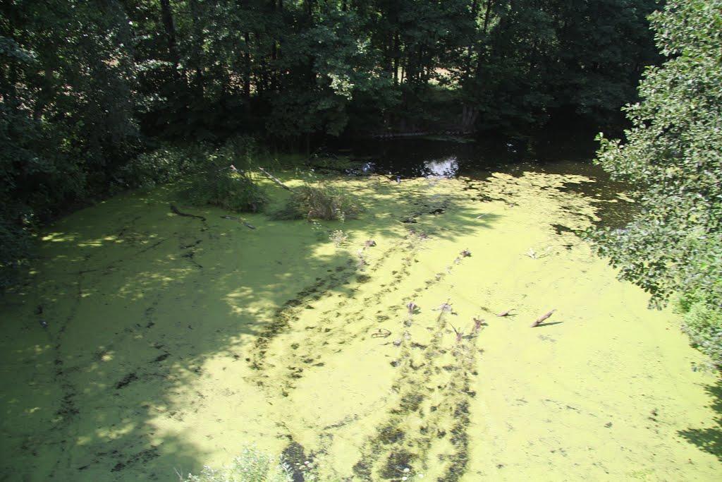 Підозірка з panoramio.com - Підозірка