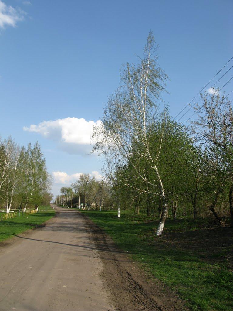 Шпакове з panoramio.com - Шпакове