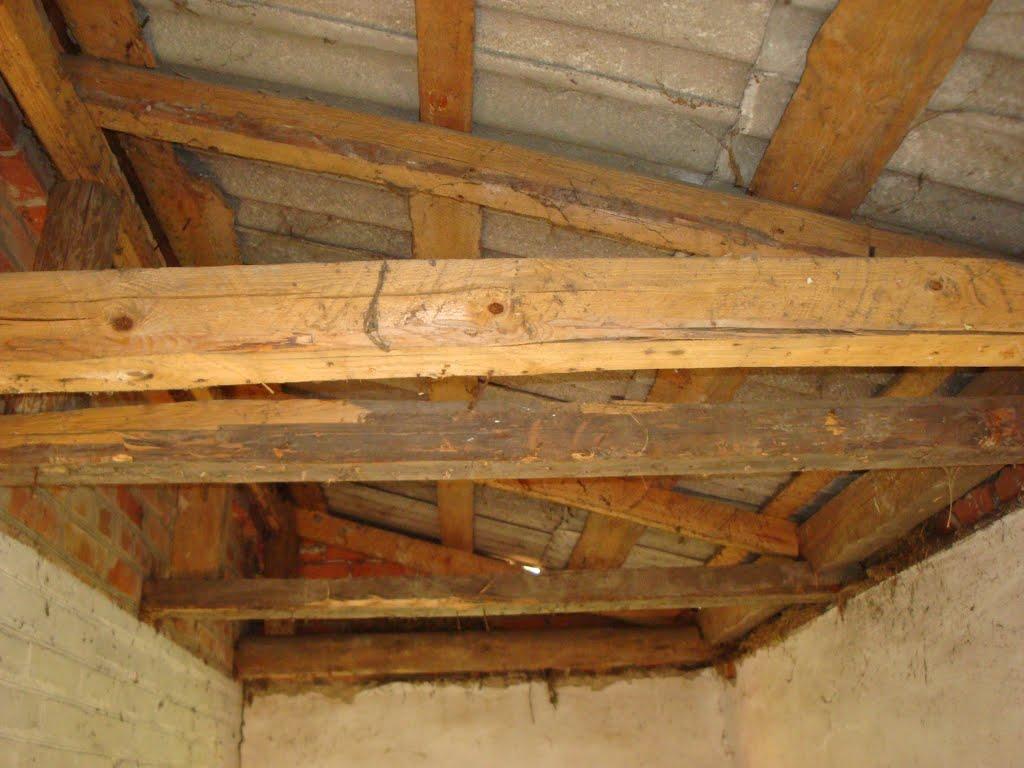 Дацьки з panoramio.com - Дацьки