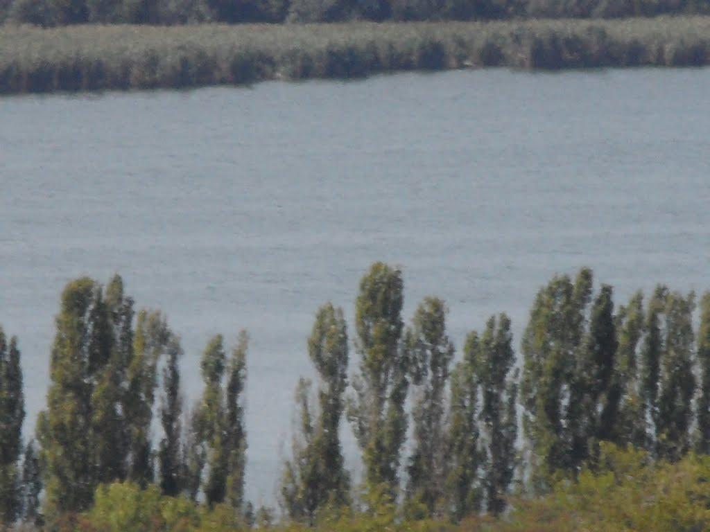 Лиманське з panoramio.com - Лиманське