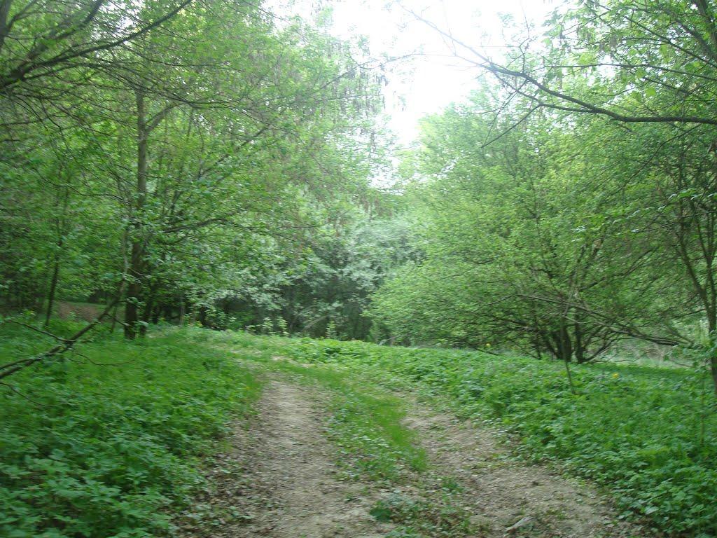 Маціорськ з panoramio.com - Маціорськ