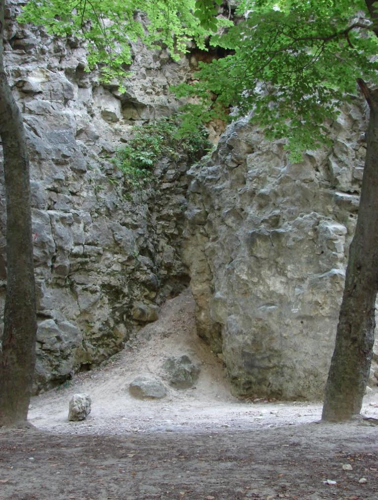 Винники з panoramio.com - Винники
