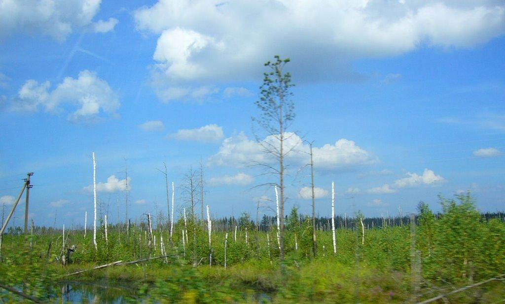 Червоносілка з panoramio.com - Червоносілка