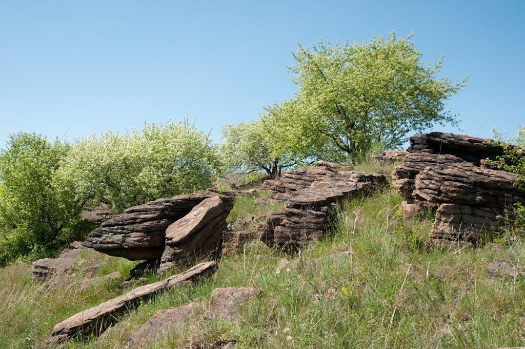 Селезнівка з panoramio.com - Селезневка