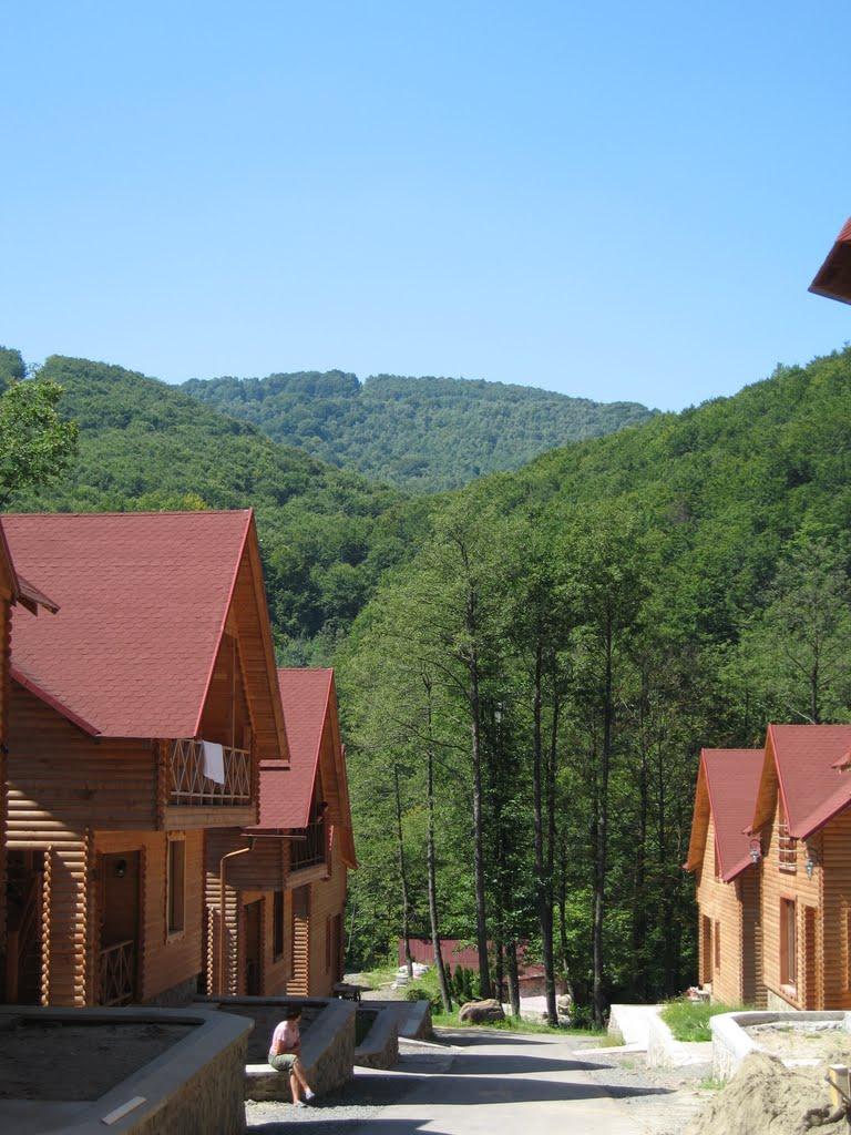 Тур'я Пасіка з panoramio.com - Тур'я Пасіка