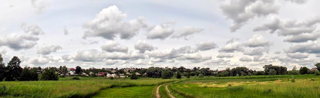 Вільшани з panoramio.com - Vilshany