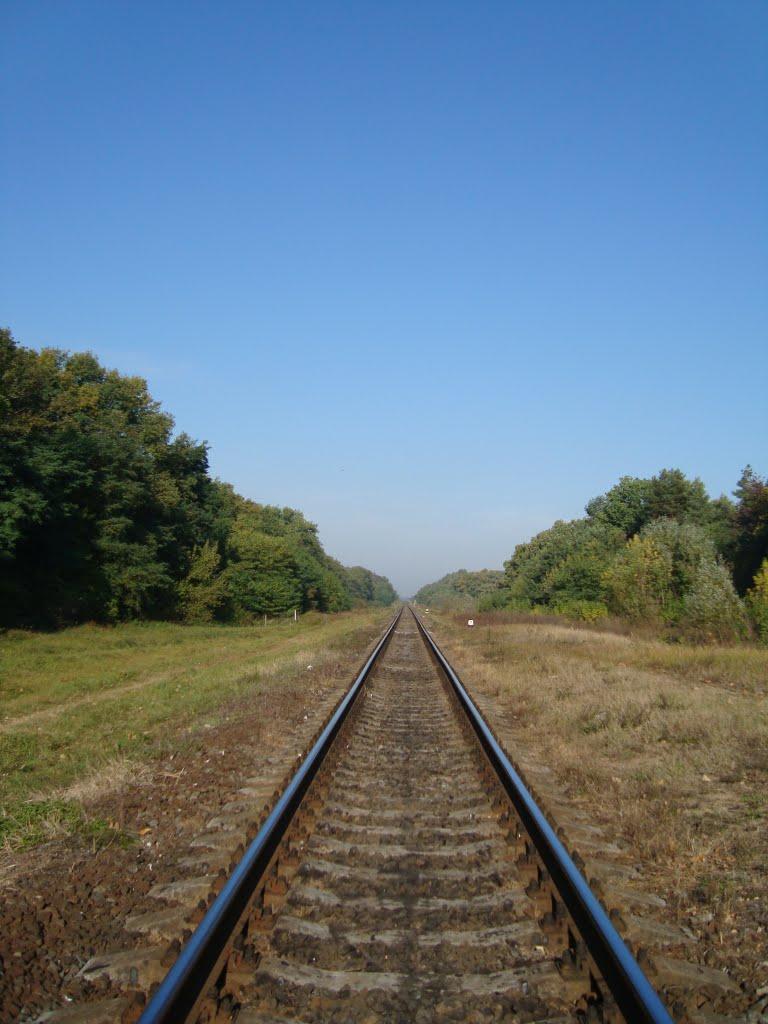 Кузничі з panoramio.com - Кузничі