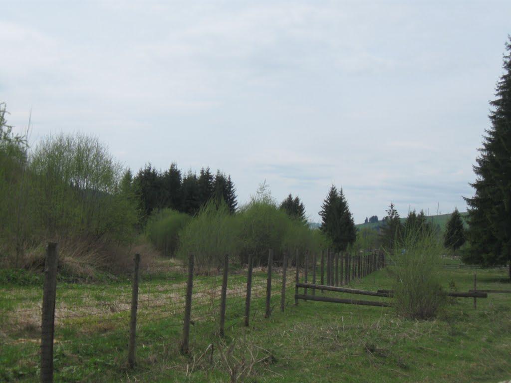 Селятин з panoramio.com - Селятин