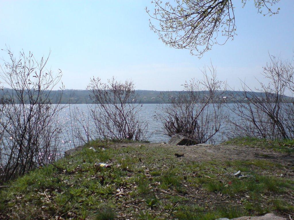 Кам'яні Потоки з panoramio.com - Кам'яні Потоки