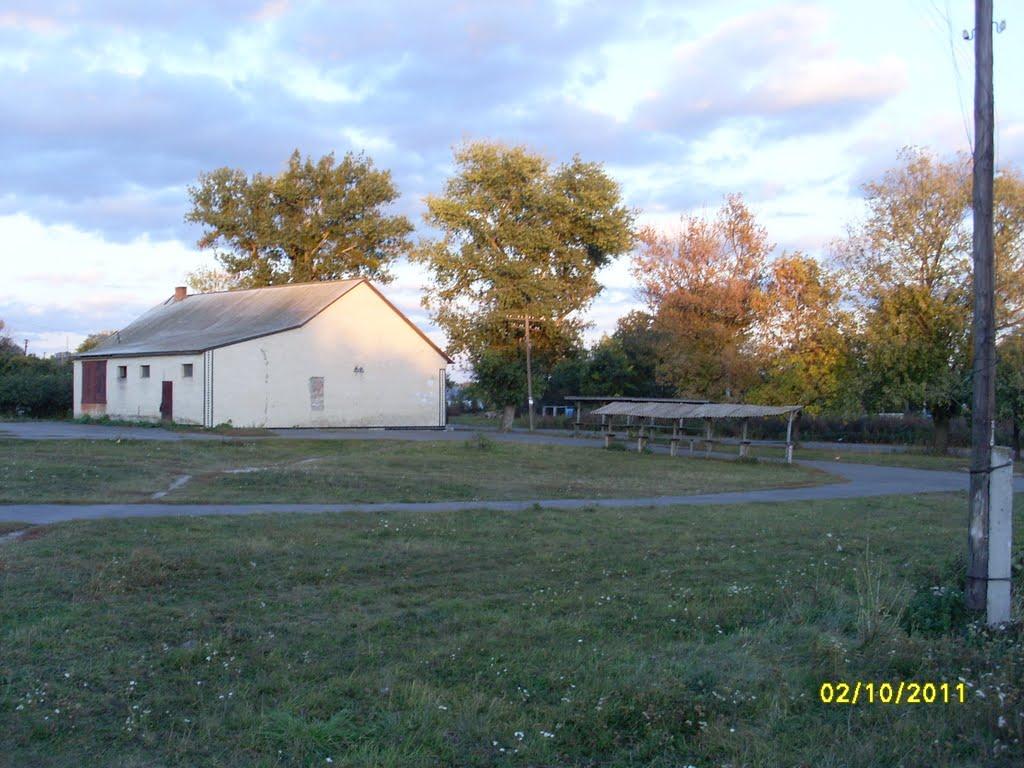 Соколівка з panoramio.com - Соколівка