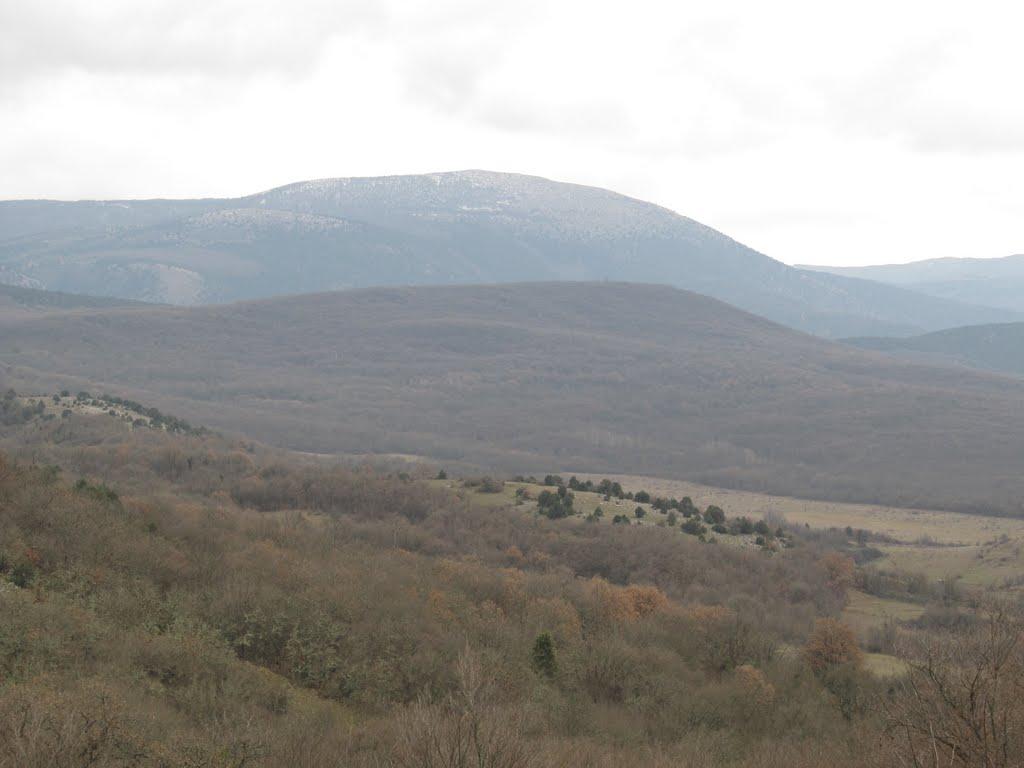 Новобобрівське з panoramio.com - Новобобрівське