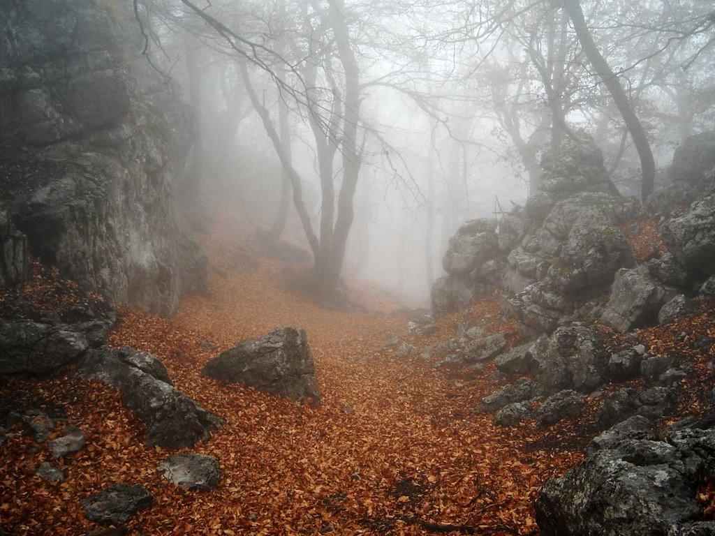 Розовий з panoramio.com (ч.2) - Розовий
