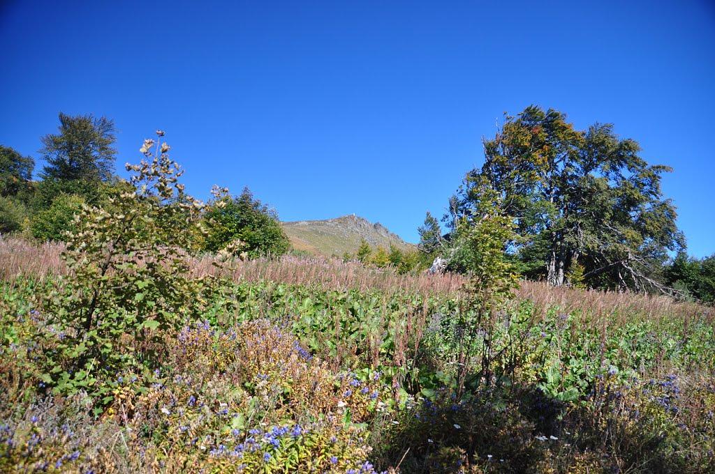 Щербовець з panoramio.com - Щербовец