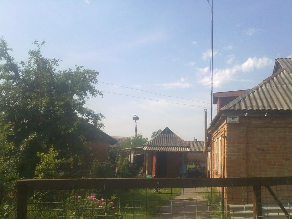 Зінці з panoramio.com - Зінці