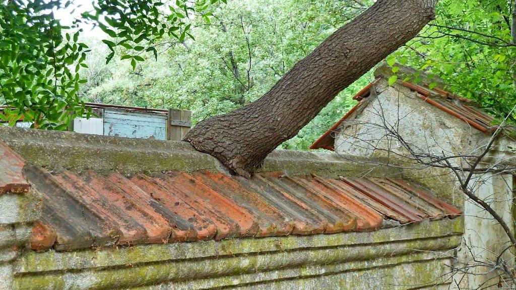 Кацівелі з panoramio.com - Katsiveli