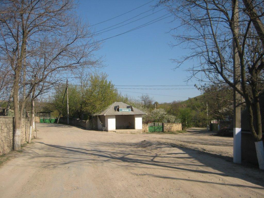 Велика Кісниця з panoramio.com - Велика Кісниця