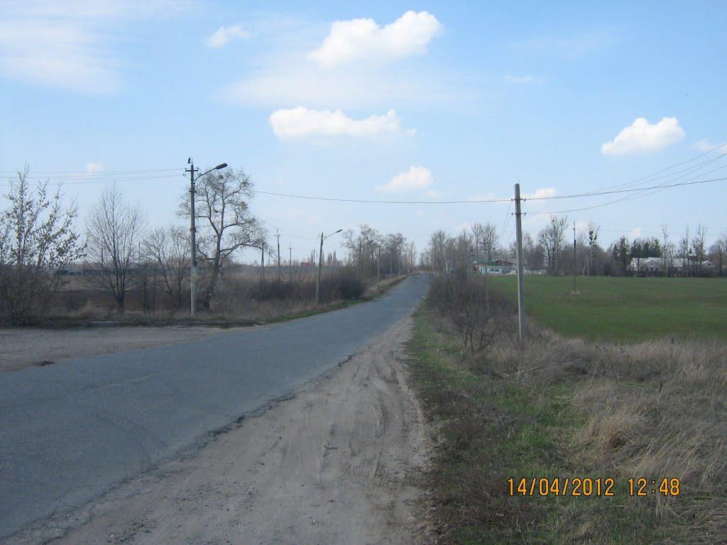 Нова Березівка з panoramio.com - Нова Березівка