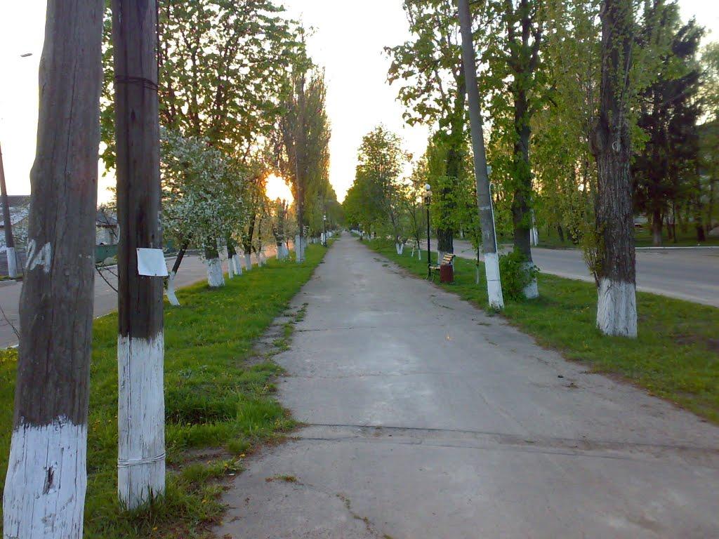 Христинівка з panoramio.com - Христиновка
