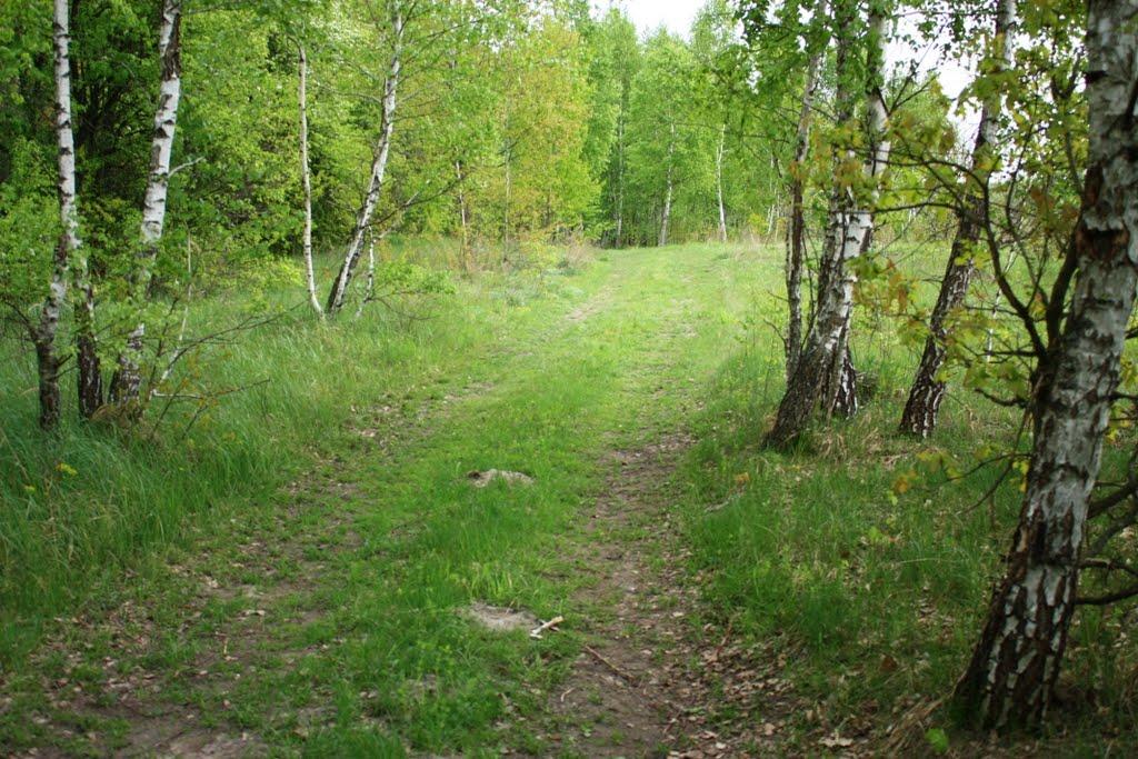 Бурімка з panoramio.com - Бурімка