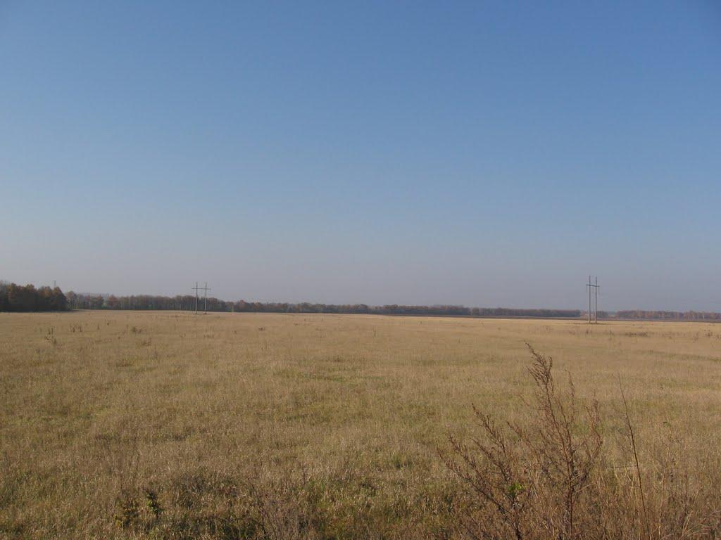 Велика Вісь з panoramio.com - Велика Вісь