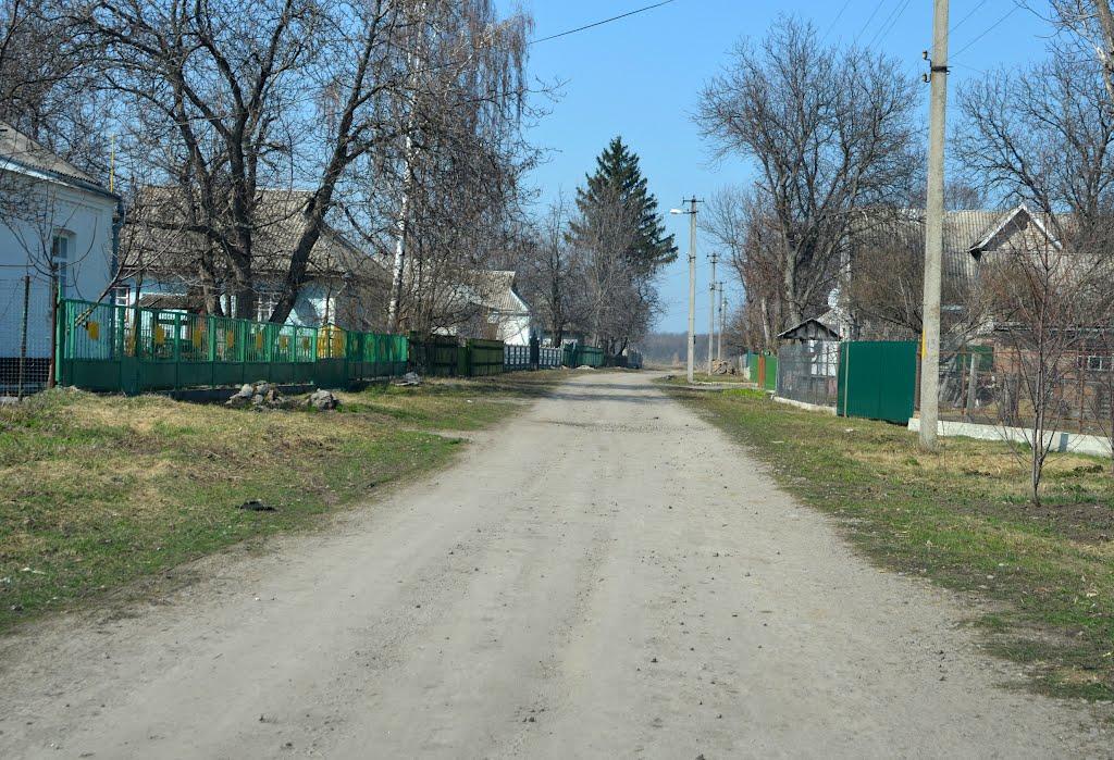 Родниківка з panoramio.com - Rodnykivka