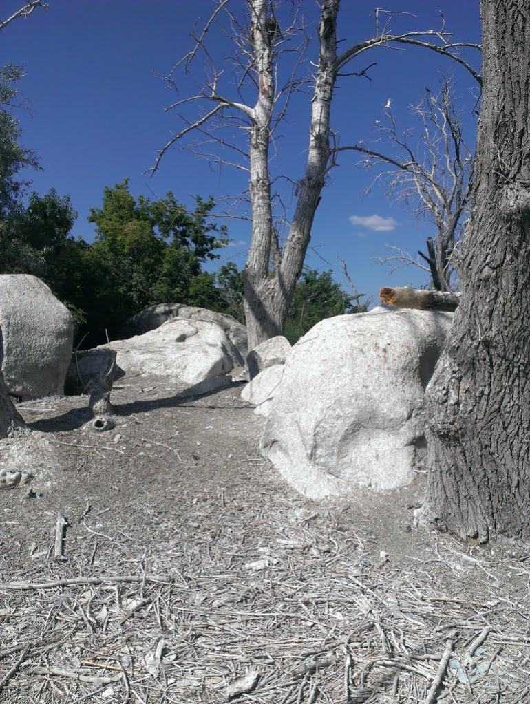 Звонецьке з panoramio.com - Звонецьке