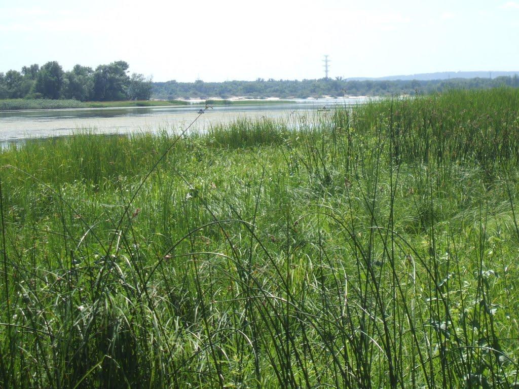 Кривуші з panoramio.com - Кривуші