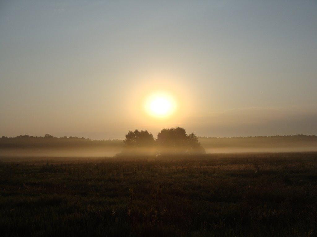 Шкарівка з panoramio.com - Шкарівка