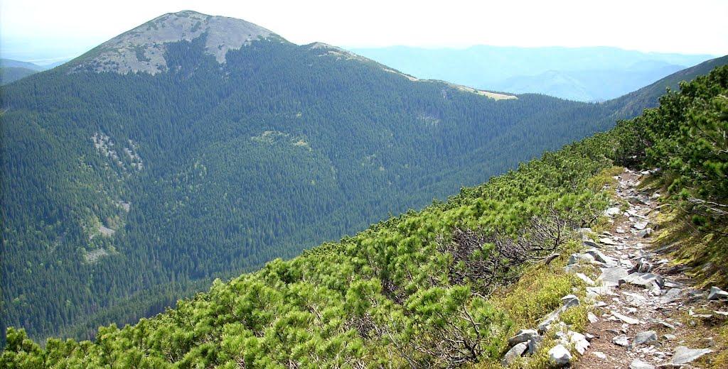 Осмолода з panoramio.com (ч.2) - Осмолода