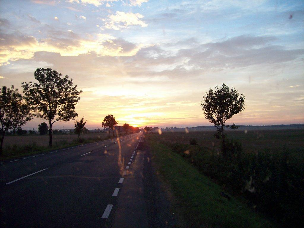 Биків з panoramio.com - Быков