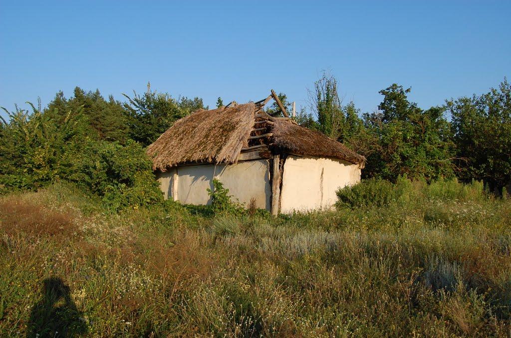 Бірки з panoramio.com - Борки